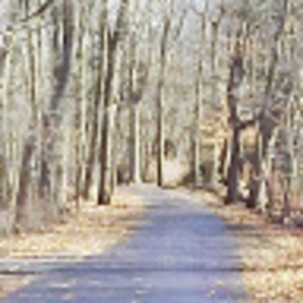 Meet your Posher, Chrissyh13